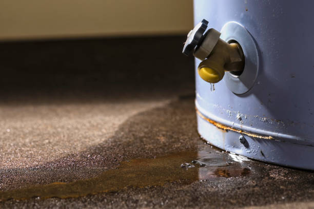 Best Mold removal after water damage  in , NJ