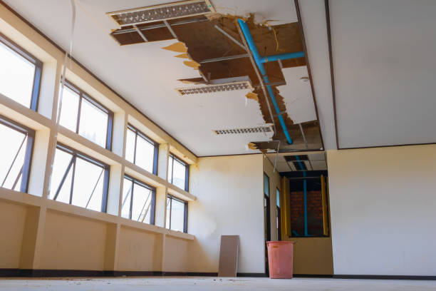 Best Flood damage cleanup  in , NJ