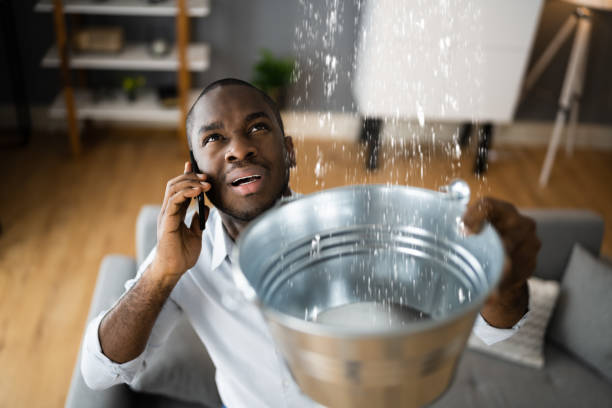 Best Ceiling water damage repair  in , NJ