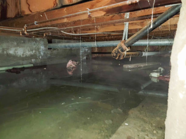 Best Water damage contractors near me  in , NJ