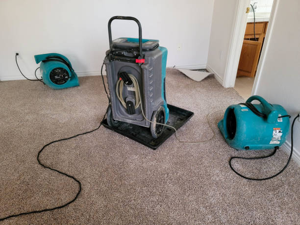 Best Water damage repair service  in , NJ