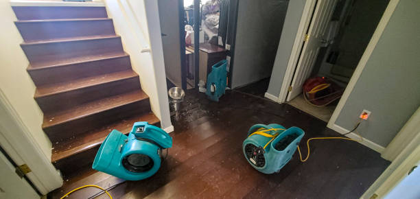 Best Water damage restoration near me  in , NJ