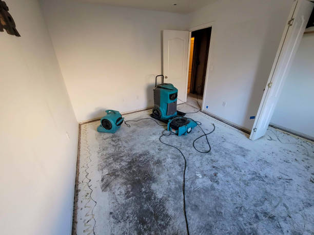 Best Carpet water damage restoration  in , NJ