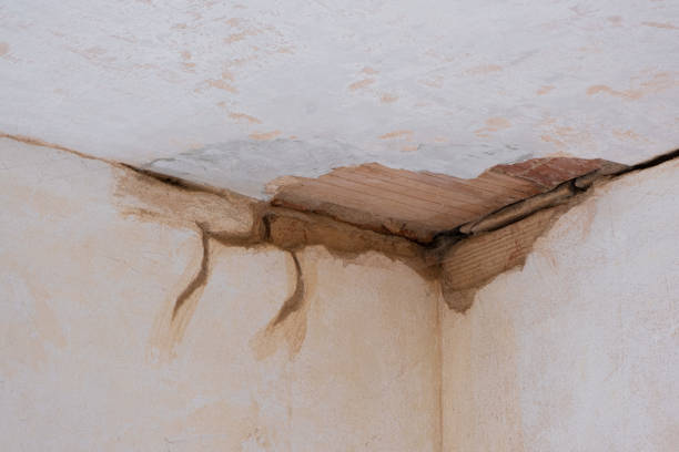 Best Residential water damage restoration  in , NJ