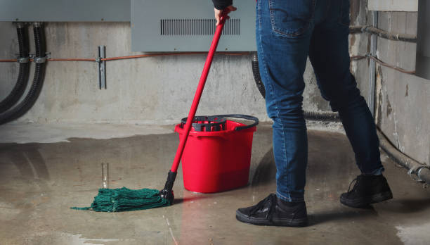 Best Water damage mitigation services  in , NJ