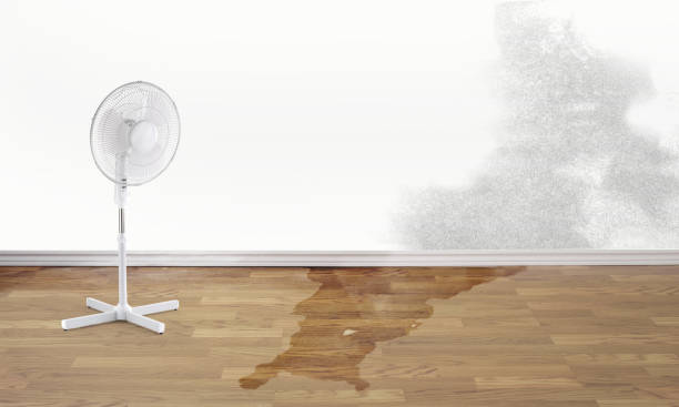  , NJ Water damage restoration Pros