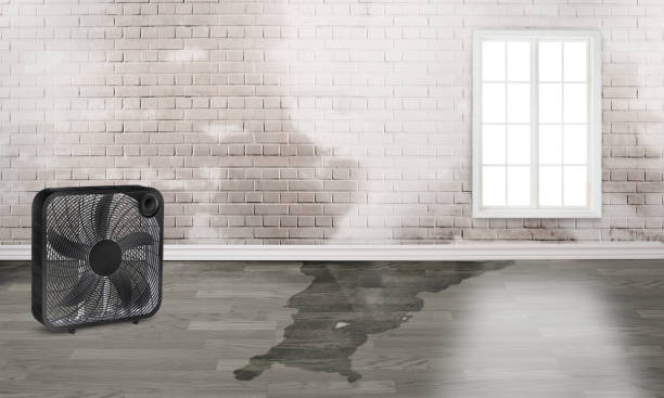 Best 24-hour water damage restoration  in , NJ