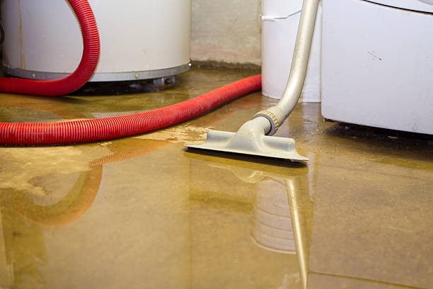 Best Water damage contractors near me  in , NJ