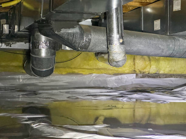Best 24/7 water damage repair  in , NJ