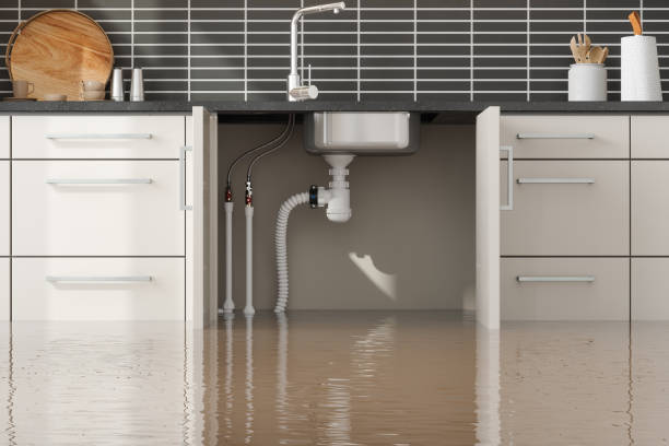 Best Water damage restoration cost  in , NJ