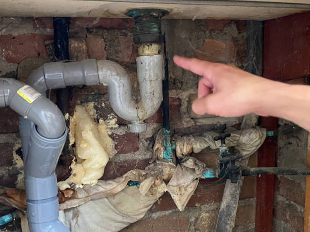 Best Flood restoration services  in , NJ
