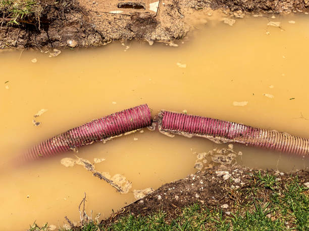 Best Local water damage restoration  in , NJ