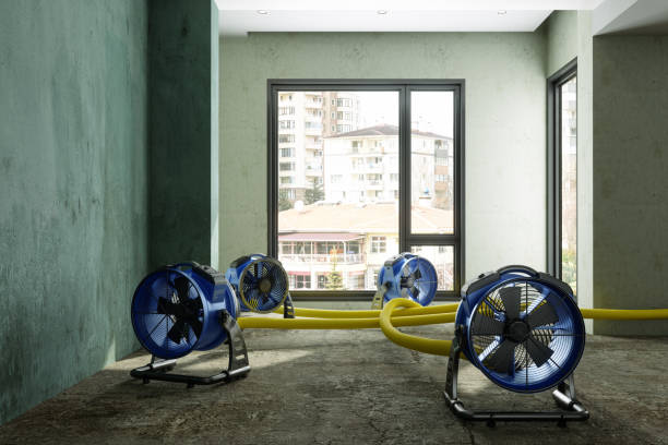 Best Professional water damage repair  in , NJ