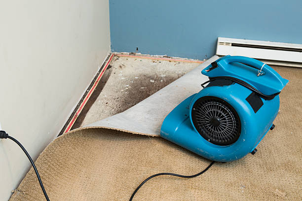 Best Emergency water damage restoration  in , NJ